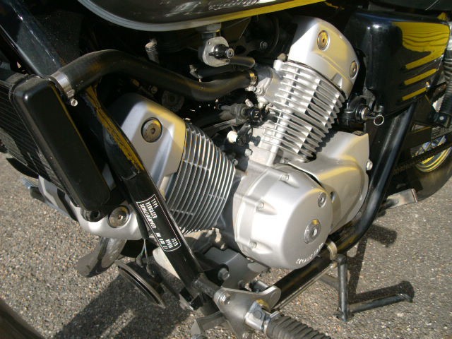 Honda Shadow 125 aus 1.Hand WIE NEU SAMMLERZUSTAND Nur 13.288km Ez 04.1999